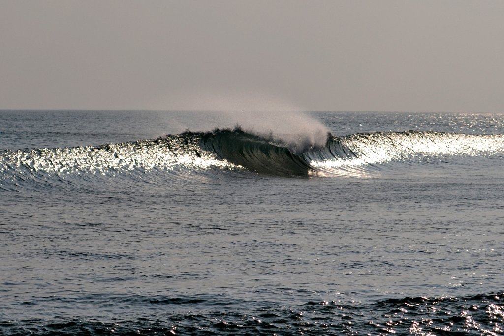 Vague-010.jpg