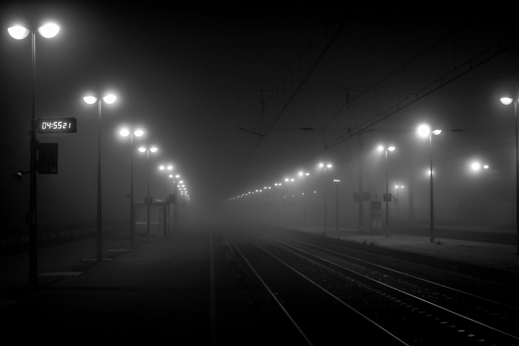 Fog-001.jpg