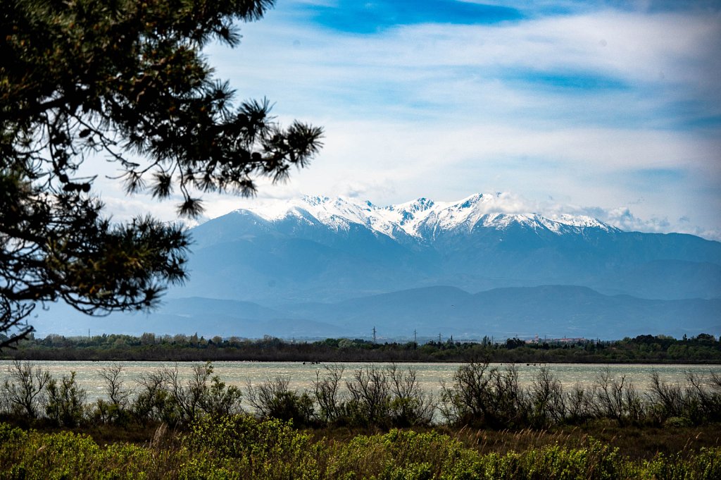 CanigouFromCannet-003.jpg