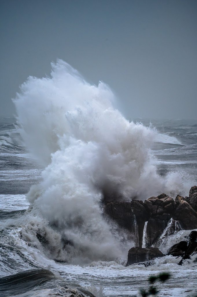 WaveSeteTempete-001.jpg