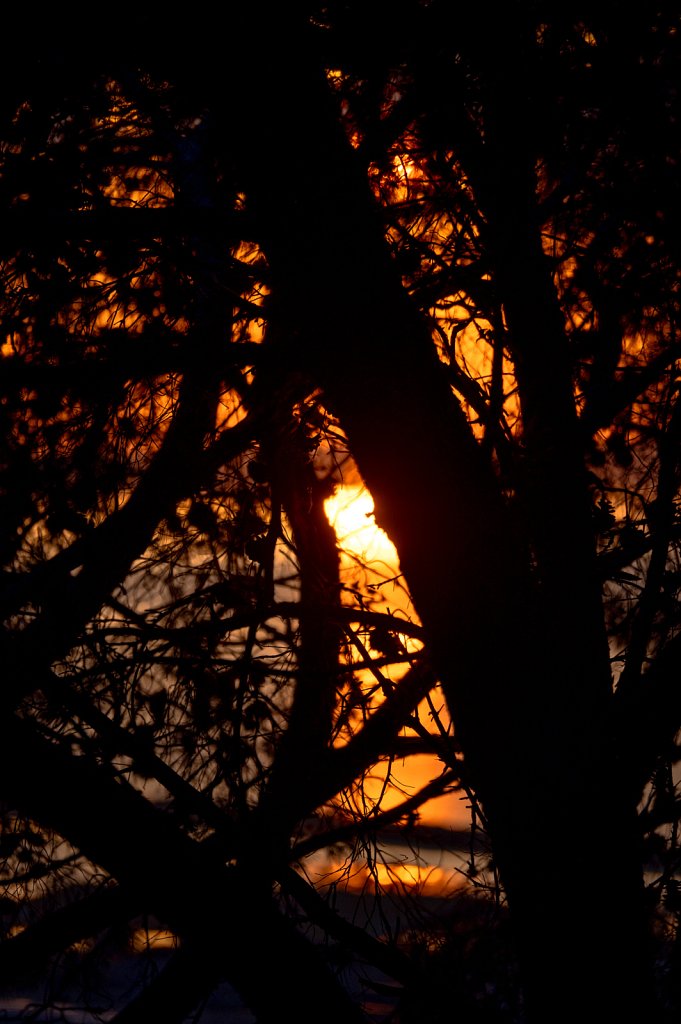 Soleil-014.jpg