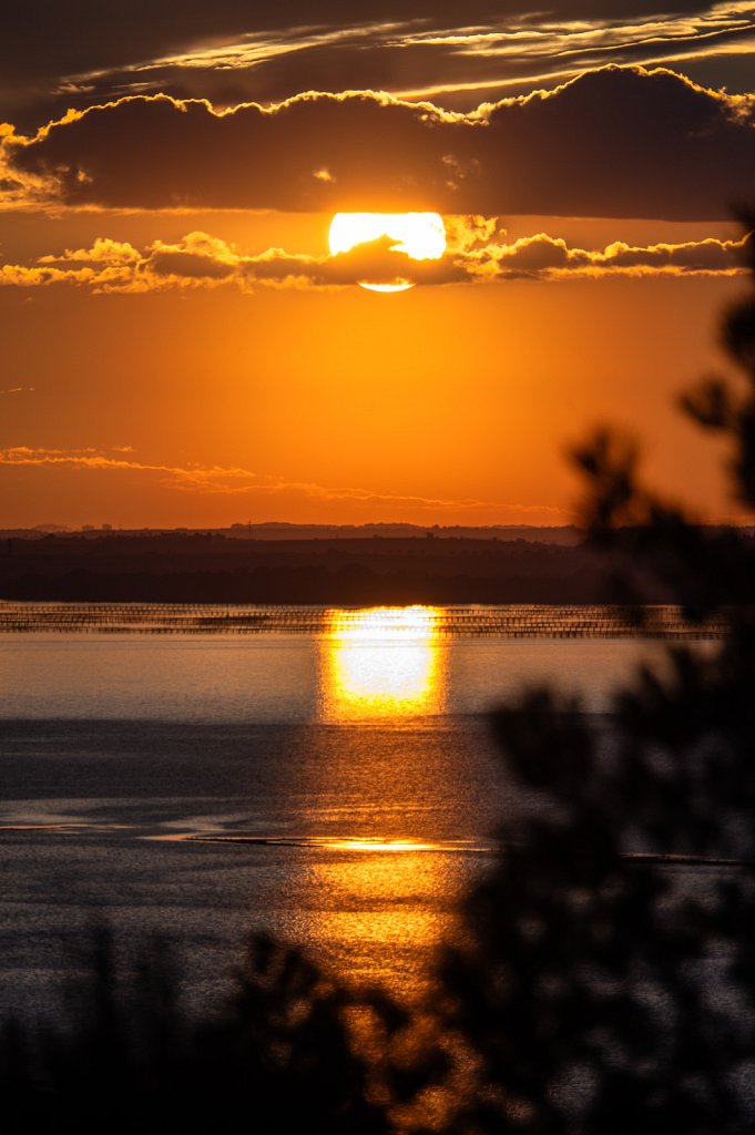 Soleil-001.jpg